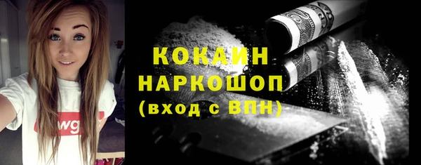 дурь Новодвинск