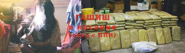 хмурый Арсеньев