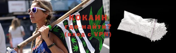 твердый Няндома