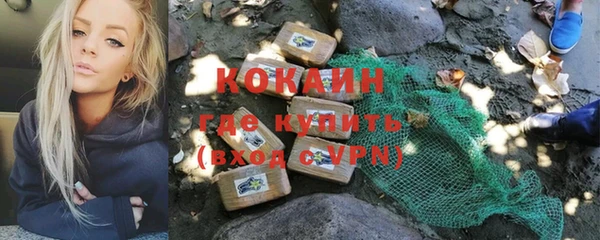 хмурый Арсеньев