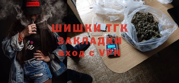 хмурый Арсеньев