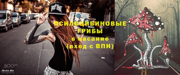 хмурый Арсеньев