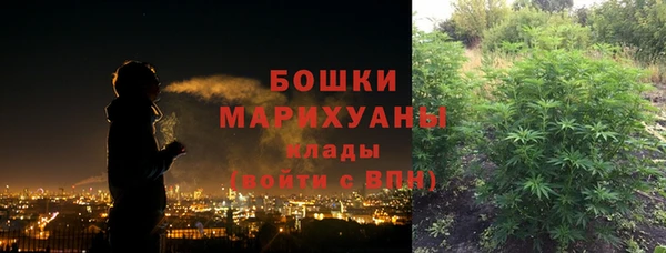 хмурый Арсеньев