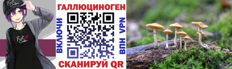 Псилоцибиновые грибы мухоморы  Советск 
